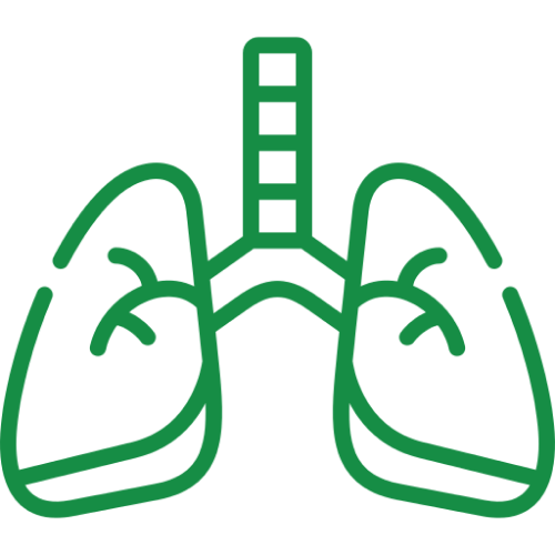 Respiratory & Airway Management
